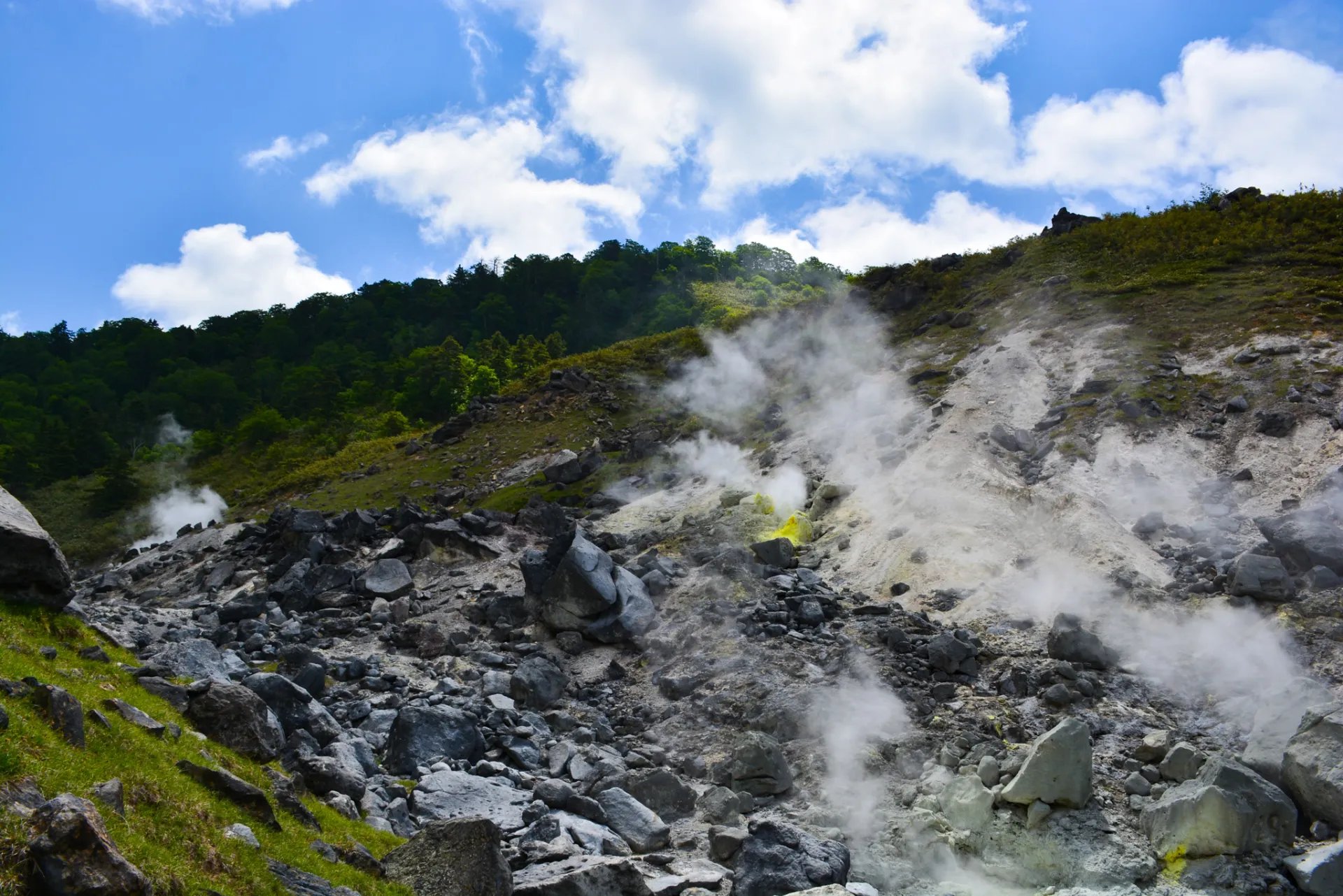 ♨️ 다마가와 온천 이미지 8